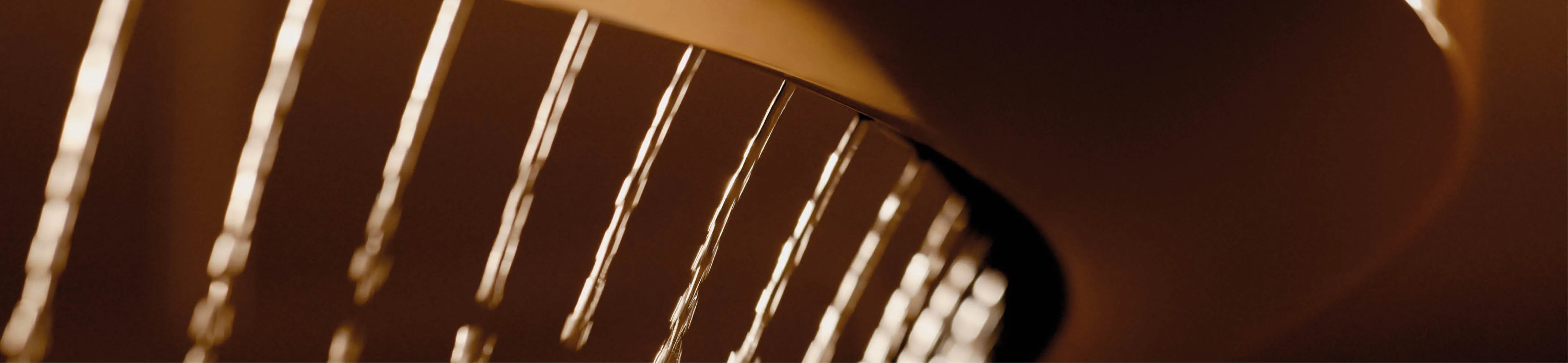 Nahaufnahme der Aquahalo-Erlebnisdusche von Dornbracht im Header-Format.