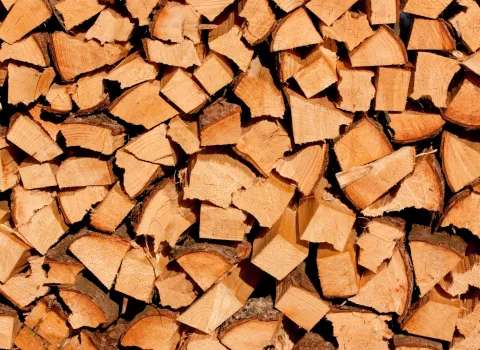 Gestapeltes Scheitholz.
